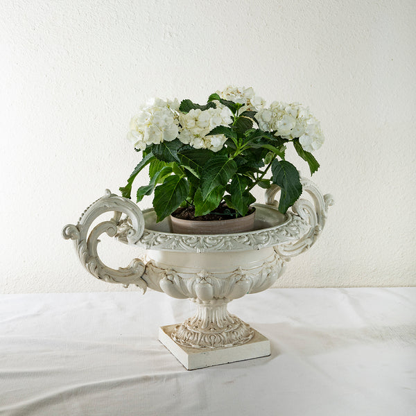 Very Large Nineteenth Century Iron Urn