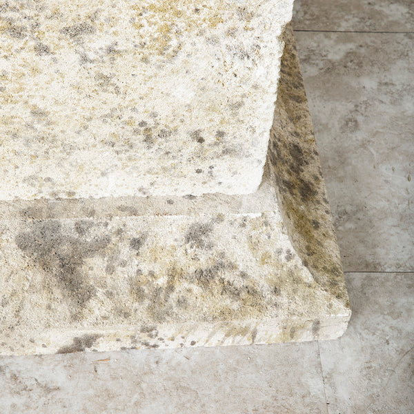 Pair of Large Medicis Urns With Plinths