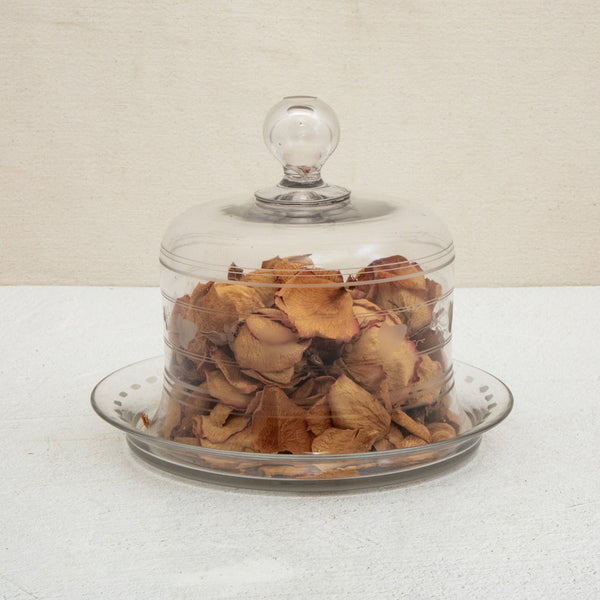 Glass Cheese Cloche