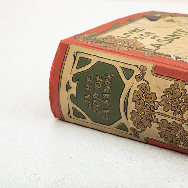 Set of Art Nouveau Books