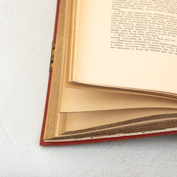 Set of Art Nouveau Books