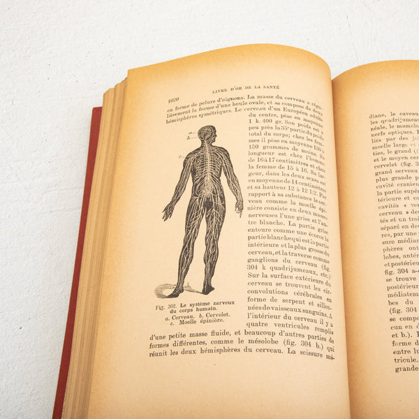 Set of Art Nouveau Books