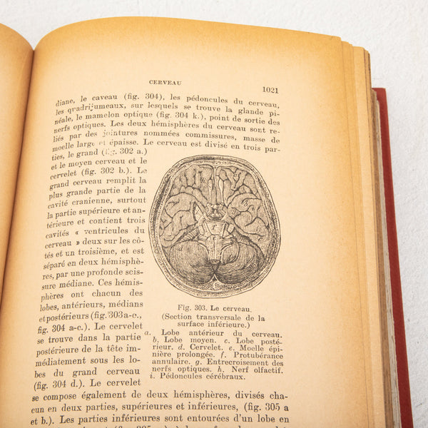 Set of Art Nouveau Books