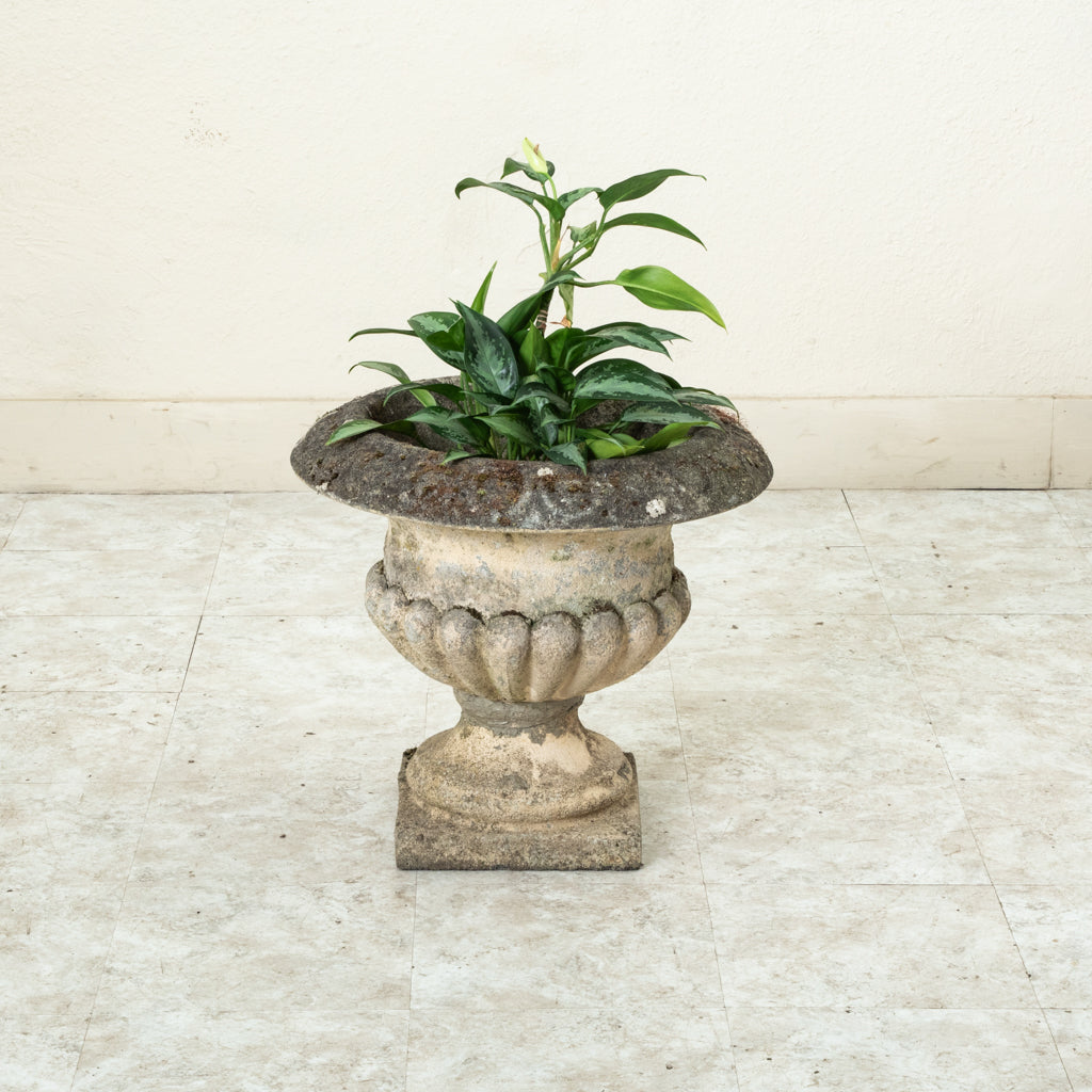 stone indoor planter Stone Planter
