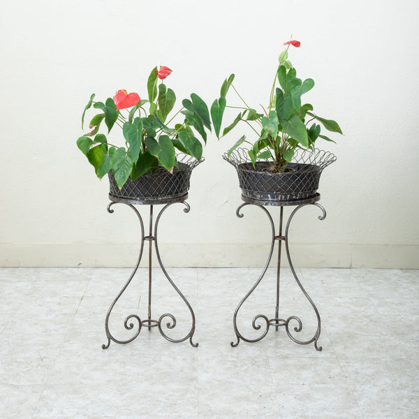 Pair of Iron Jardinieres