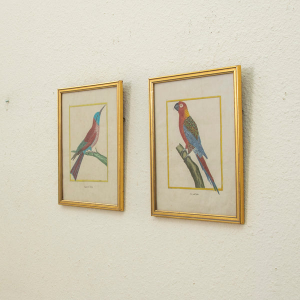 Pair of Signed Engravings