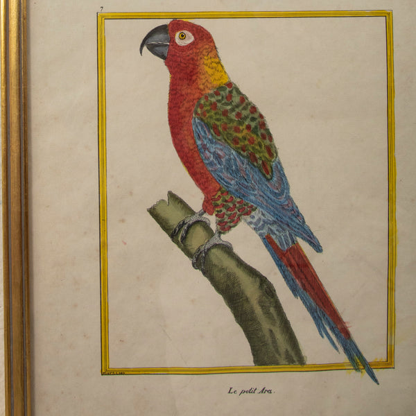 Pair of Signed Engravings