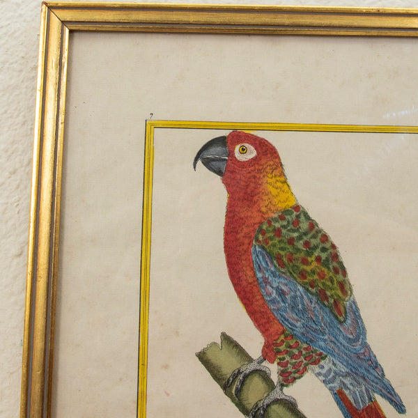 Pair of Signed Engravings