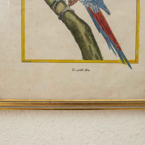 Pair of Signed Engravings