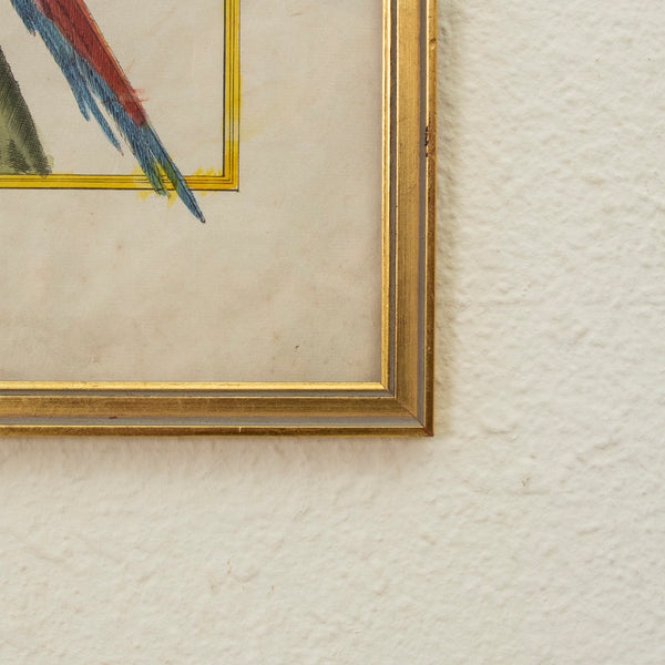 Pair of Signed Engravings