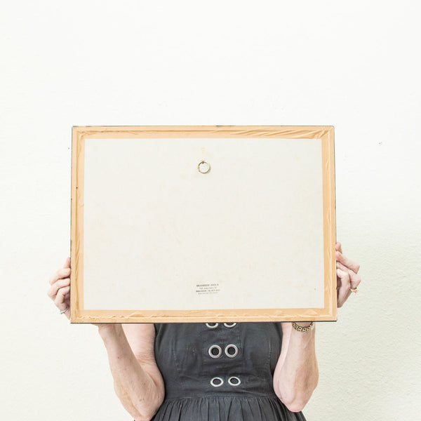 Framed Engraving of Flags
