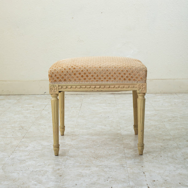 Louis XVI Bergere and Ottoman