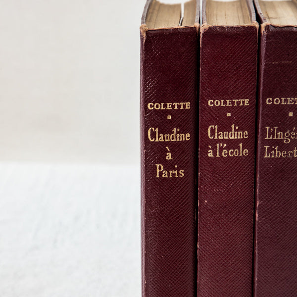 Set of Four Leatherbound Books