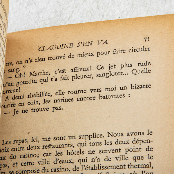 Set of Four Leatherbound Books