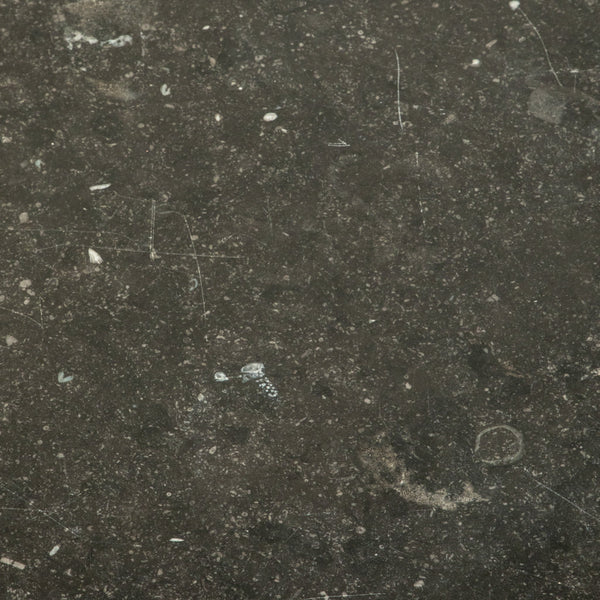 Louis Philippe Burl Elm Chest