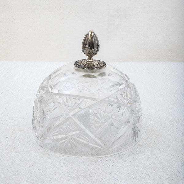 Crystal and Silver Cloche
