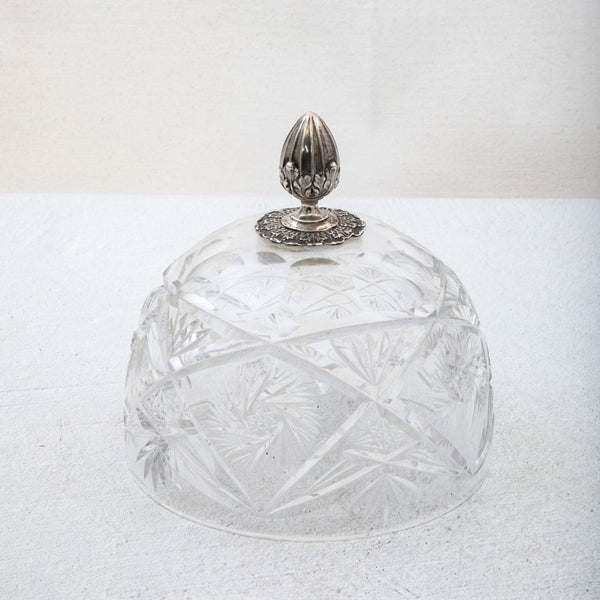 Crystal and Silver Cloche