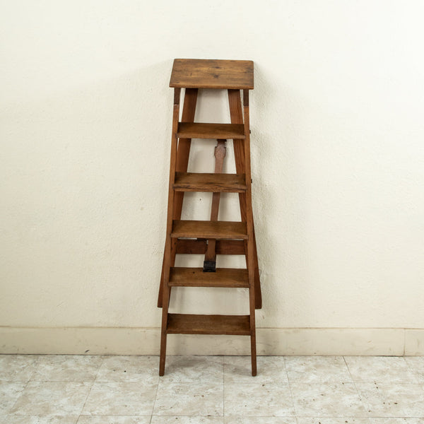Library Ladder