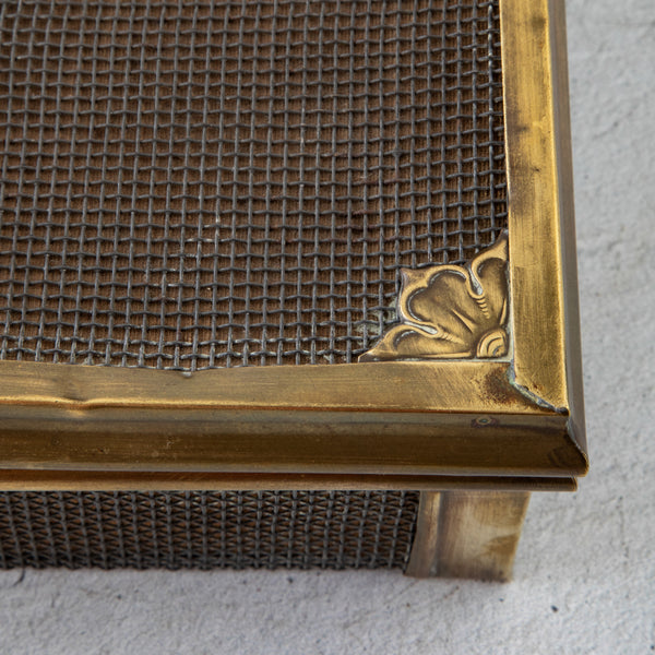 Street Vendor's Cash Box