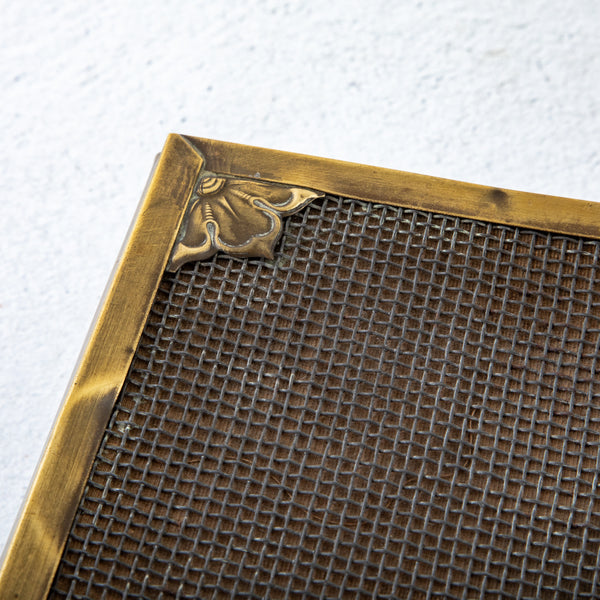 Street Vendor's Cash Box