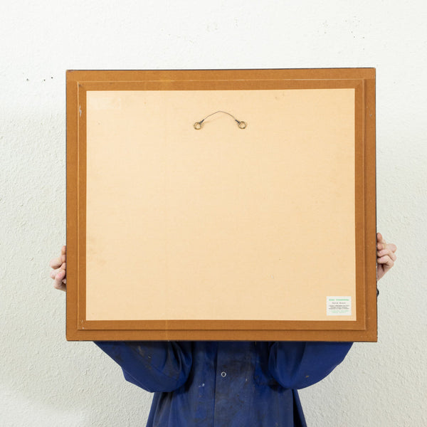 Framed Lithograph Map