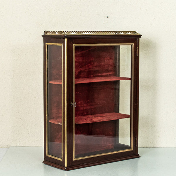 19th Century Wall Vitrine
