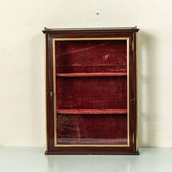 19th Century Wall Vitrine