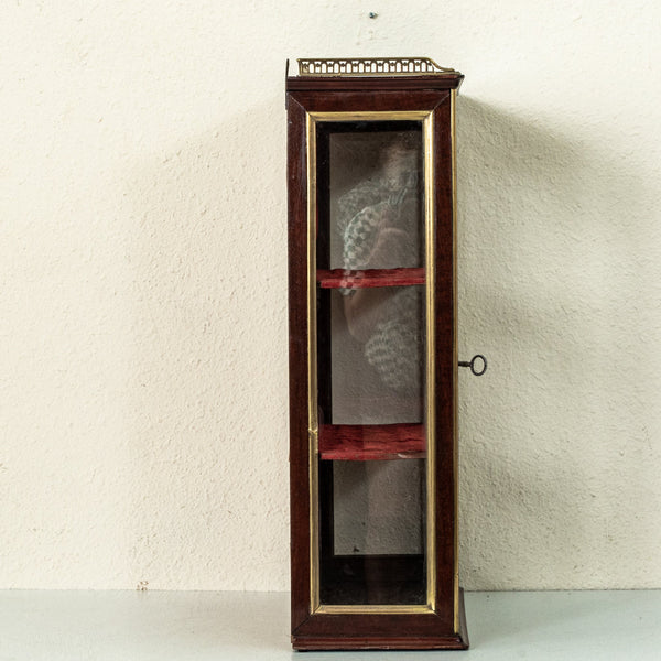 19th Century Wall Vitrine