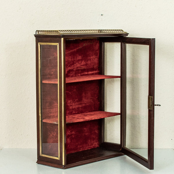 19th Century Wall Vitrine
