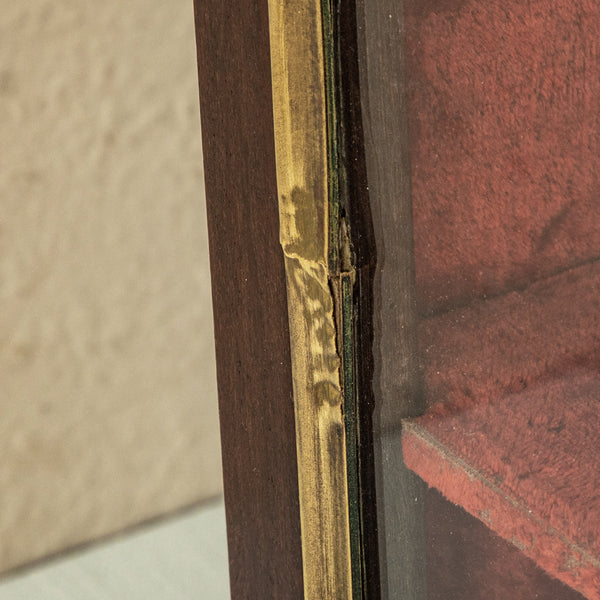19th Century Wall Vitrine
