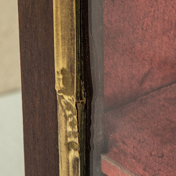 19th Century Wall Vitrine