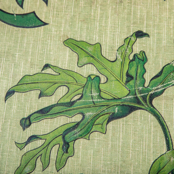 Art Nouveau Postcard Album