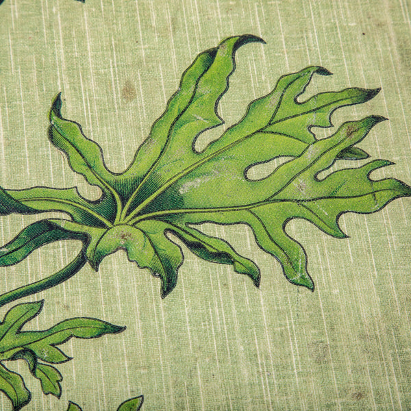 Art Nouveau Postcard Album