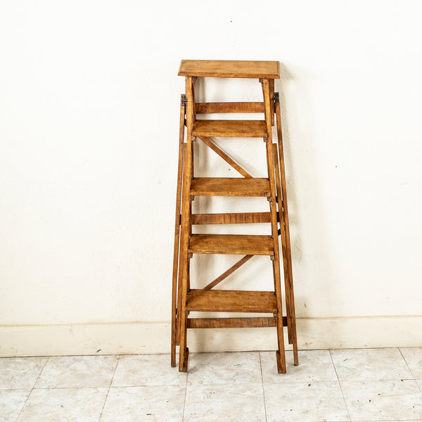 Library Ladder