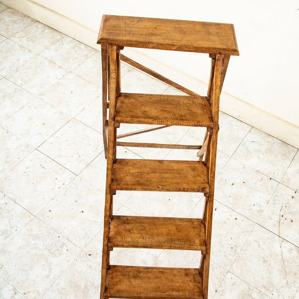 Library Ladder