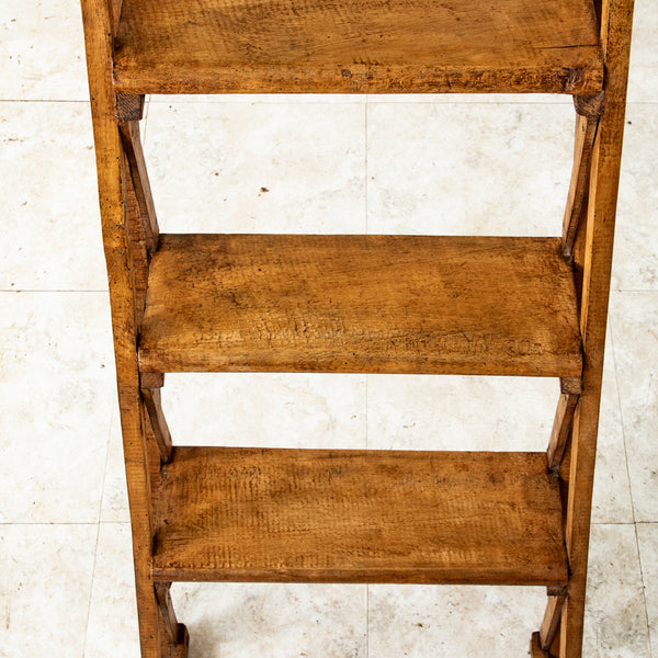 Library Ladder