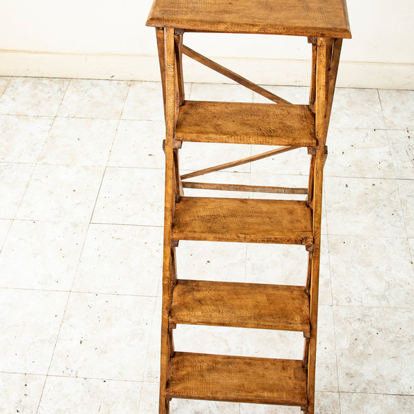 Library Ladder