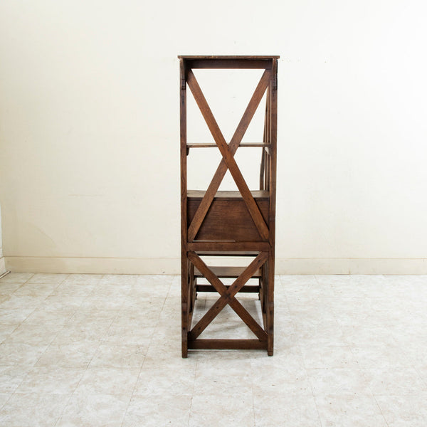 19th Century Library Ladder