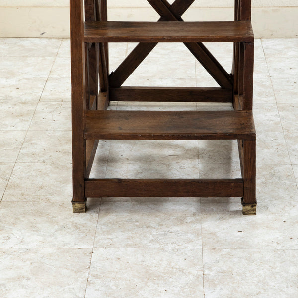 19th Century Library Ladder