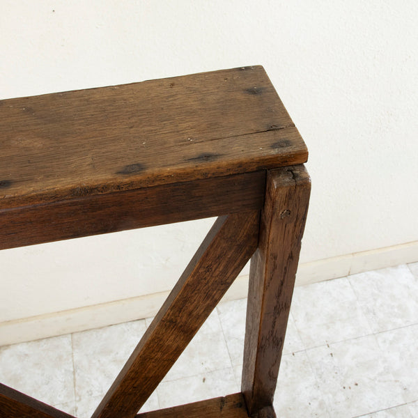 19th Century Library Ladder