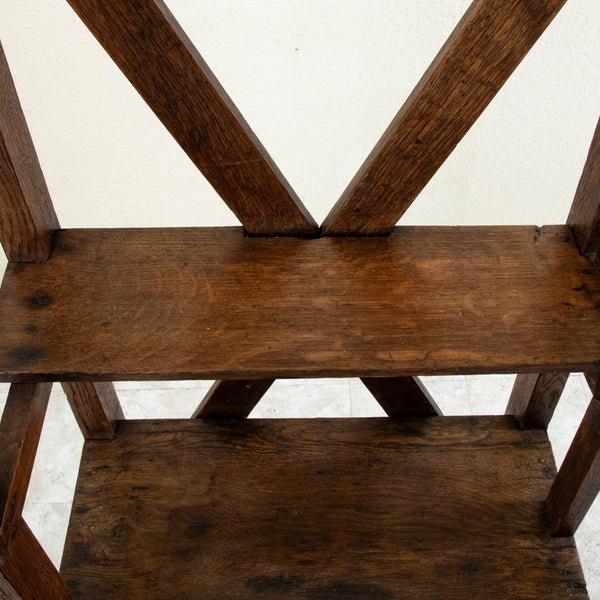 19th Century Library Ladder