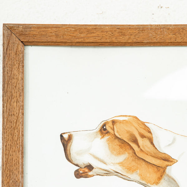 Framed Dog Painting