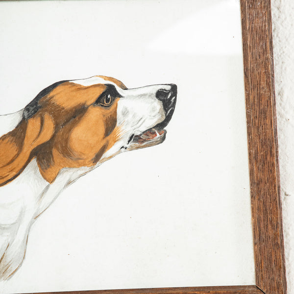 Framed Dog Painting