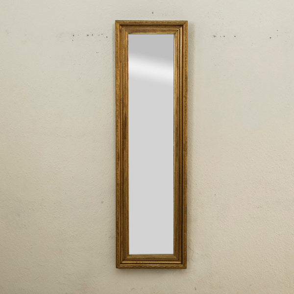 Louis XVI Giltwood Mirror