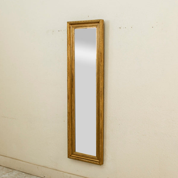 Louis XVI Giltwood Mirror