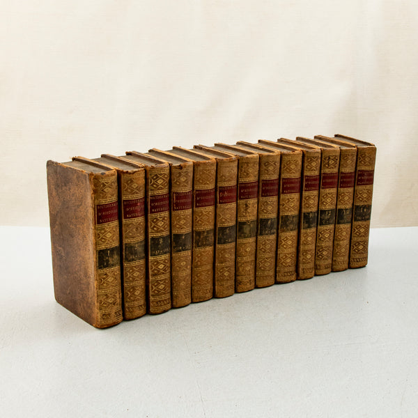 Set of Leatherbound Books