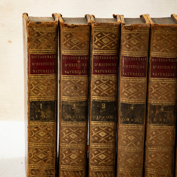 Set of Leatherbound Books