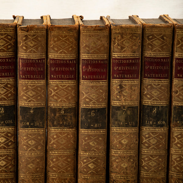 Set of Leatherbound Books