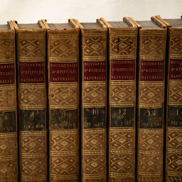 Set of Leatherbound Books