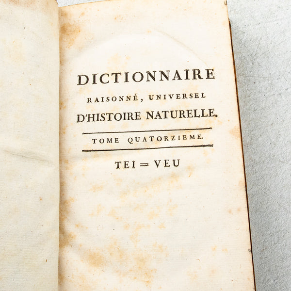 Set of Leatherbound Books